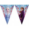 Procos Frozen 2 bannery plastové 9ks