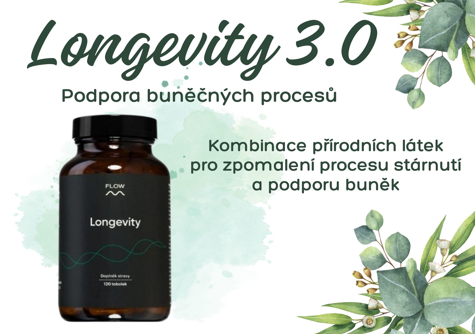Longevity 3.0