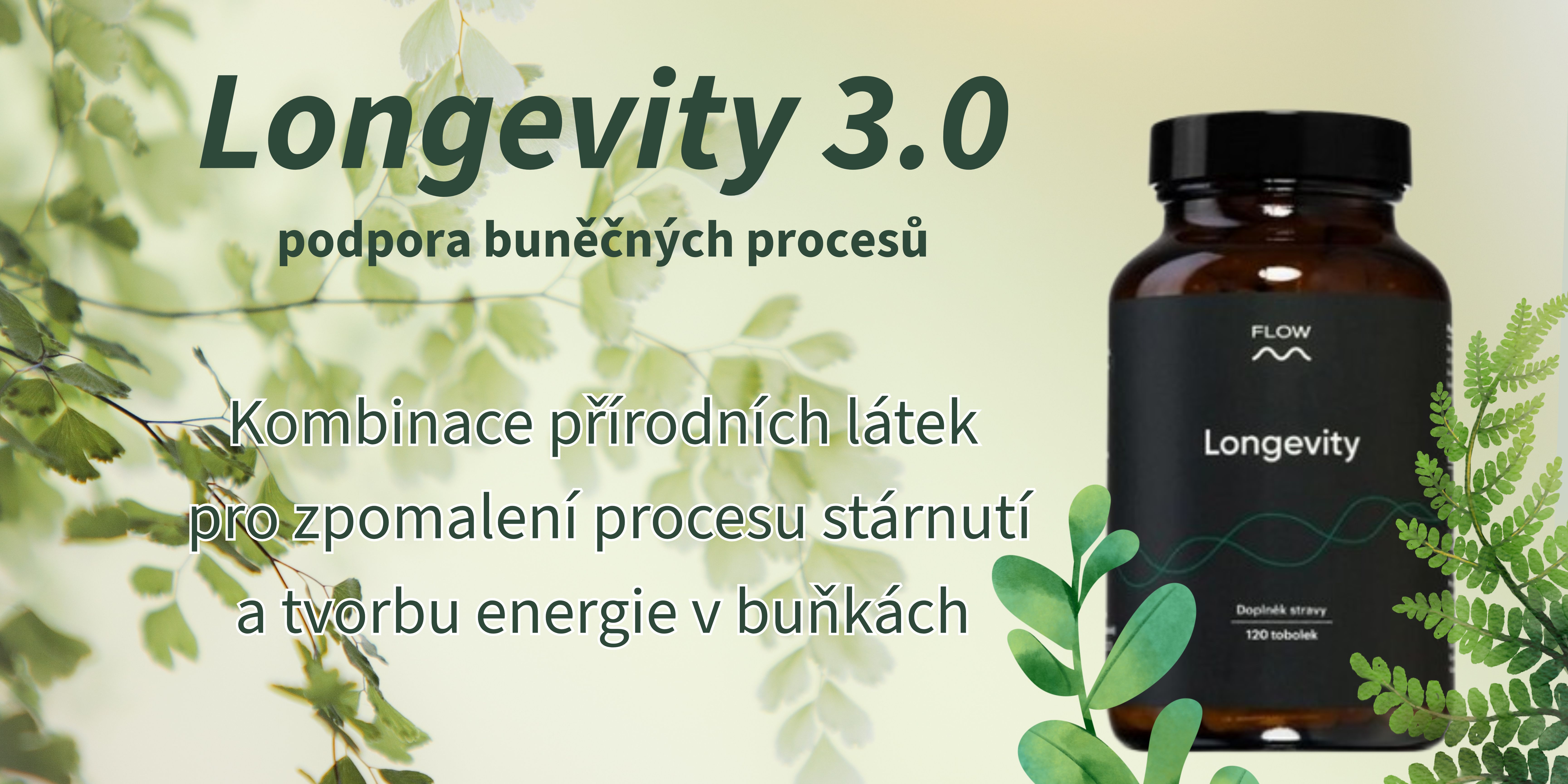 Longevity 3.0