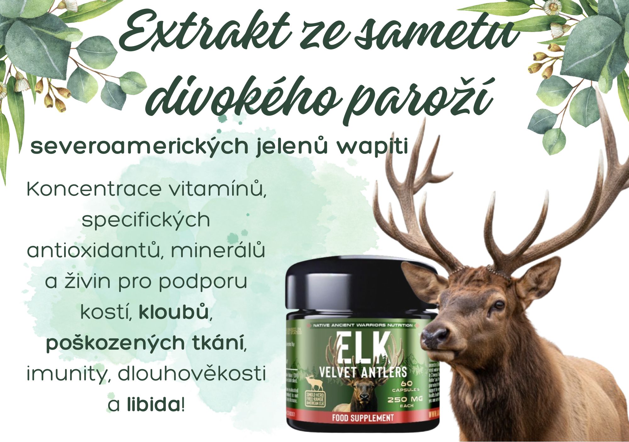 Extrakt ze sametu jeleního paroží