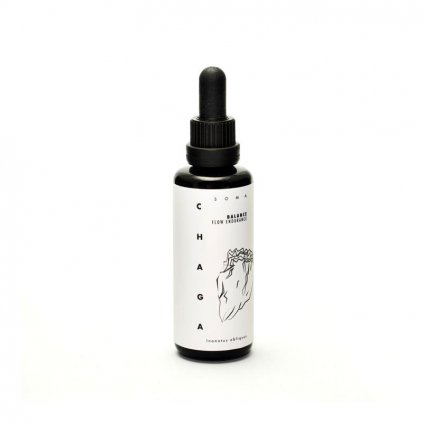 chaga mushroom tincture bio