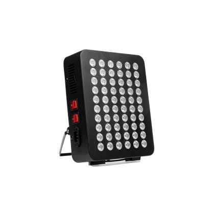 Red Light 6