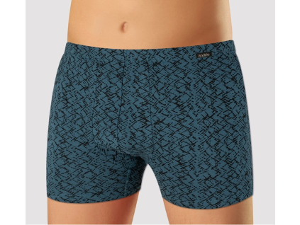 Pánské boxerky Andrie PS 5903