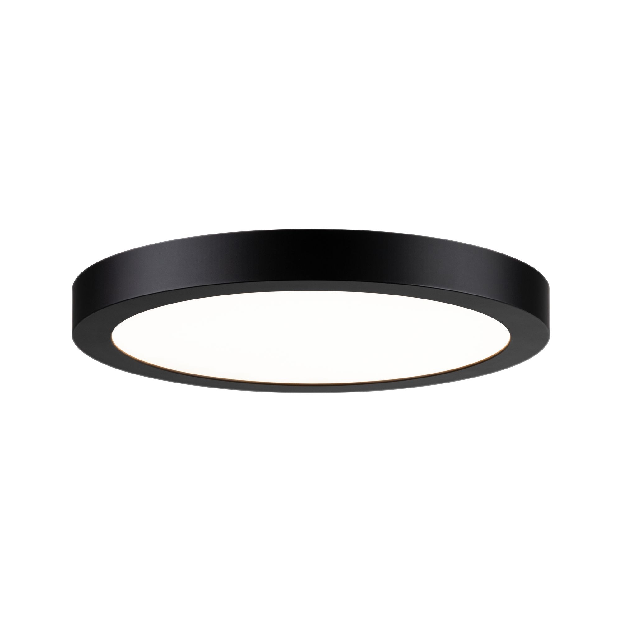 PAULMANN - LED Panel Abia 300mm 22W matná černá kruhová, P 70984