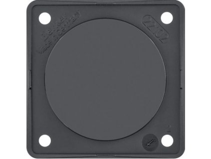 Blanking plate with carrier plate, Integro Flow/Pure, black gloss