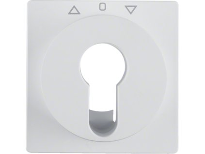 Centre plate for key push-button for blinds/key switch Berker Q.1/Q.3/Q.7/Q.9
