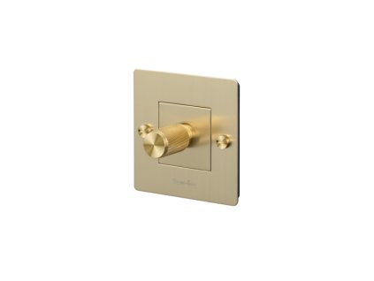 EU Electricity 1G dimmer Brass main