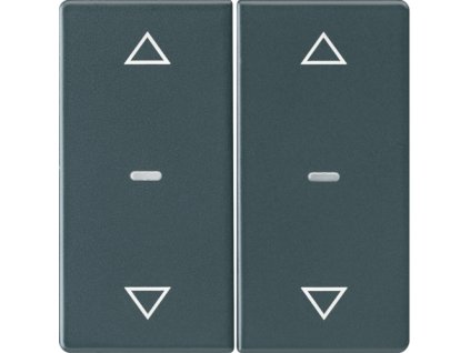Cover for 2gang for push-button module with clear lenses, KNX - Berker Q.1/Q.3, anthracite velvety, lacquered