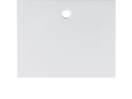 Centre plate for pullcord switch/pullcord push-button Berker K.1/K.5
