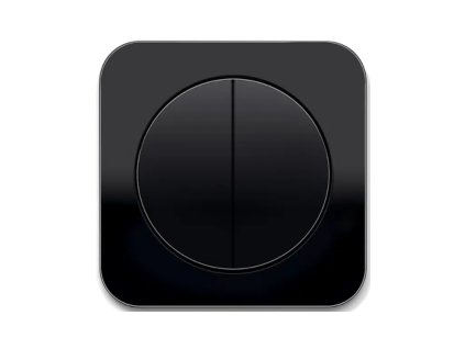 Berker R.1 dvojitá černá