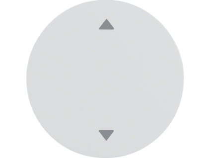 Rocker with imprinted arrows symbol Berker R.1/R.3/R.8