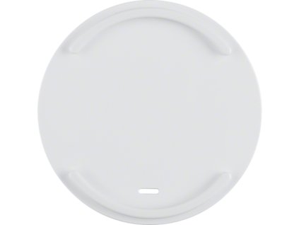 Rocker for accessible construction with guide for mouth-held rod, Berker R.1/R.3/R.8