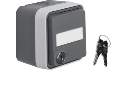 SCHUKO socket outlet with hinged cover surface-mounted with labelling field, Lock - differing lockings, enhanced contact protection, Berker W.1, grey/light grey matt