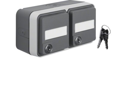 SCHUKO socket outlet 2gang horizontal with hinged cover surface-mounted with labelling field, Locks - differing lockings, enhanced contact protection, Berker W.1, grey/light grey matt