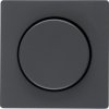 Centre plate for rotary dimmer/rotary potentiometer with setting knob, Berker Q.1/Q.3/Q.7/Q.9