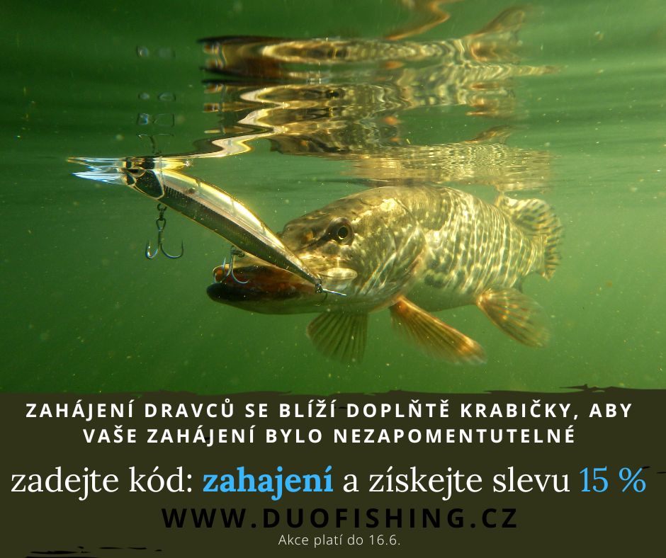 zahajení