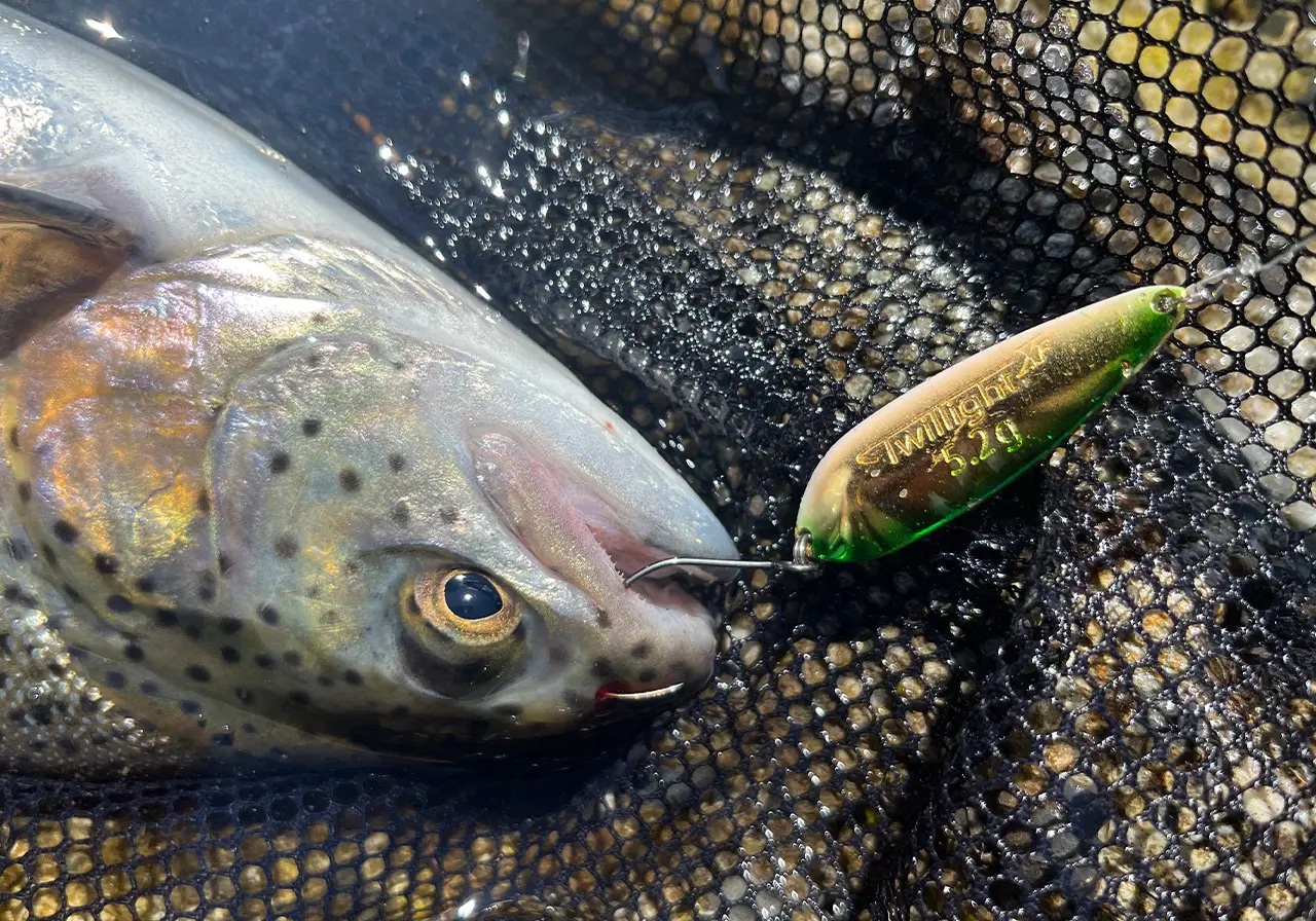 valkein-twillight-xf