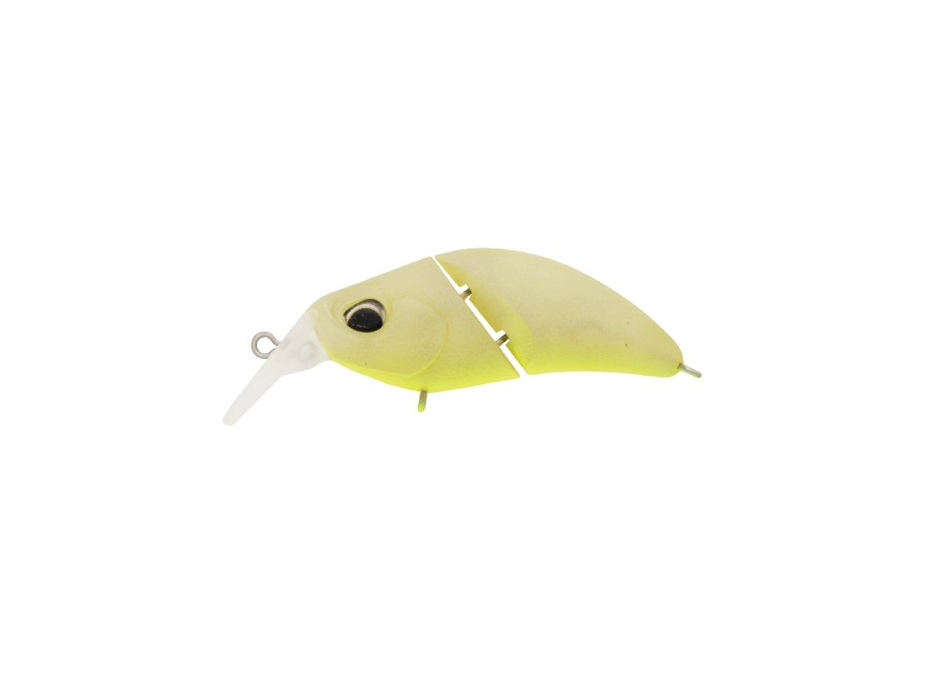 KuGa Hydra F M239 White Peach Chart Belly