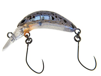 rice 30 345 gomafu azarashi