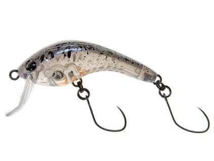 rush bell 40 345 gomafu azarashi