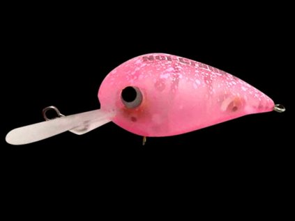 Office Eucalyptus Nei Crank 2