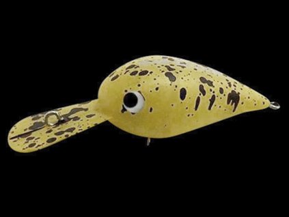 Office Eucalyptus Nei Crank 7