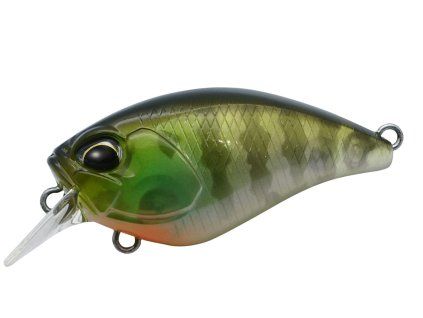 Crank 40F Mid Roller CCC3158 Ghost Gill