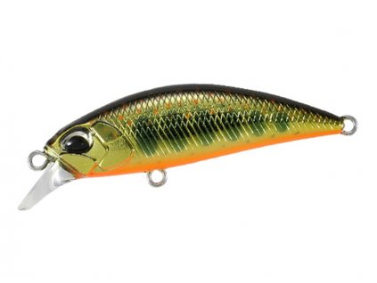 Spearhead 38S Gold Yamame MCC4084