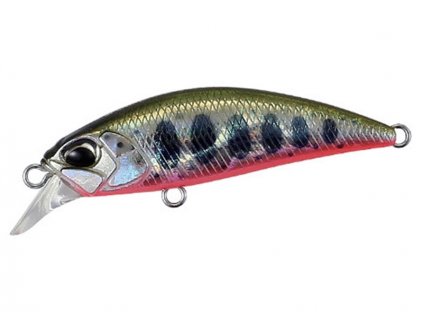 Spearhead Ryuki 50S ADA4068 Yamame Red Belly