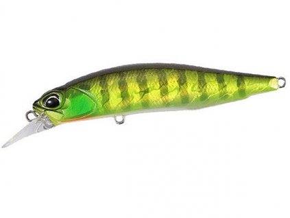 DUO Realis Rozante 63SP AJA3055 Chart Gill Halo