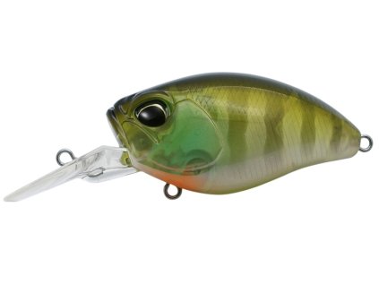 Realis crank 48mr bottom rush CCC3158 Ghost Gill 4525918206703