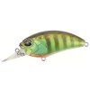 Crank M62 5A AJA3055 Chart Gill Halo