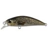 Spearhead Ryuki 50S CCC3815 Brown Trout ND