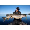 Haeadbanger BangerShad Spotted Bullhead
