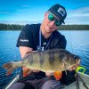 Headbanger BangerRibs Lime Shad 2kg 49cm Perch
