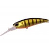 Shad 62DR SP ASA3146 Gold Perch