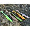 versa shad 4