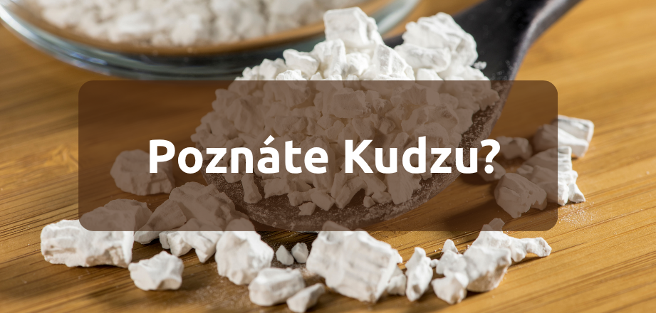 Poznáte Kudzu?