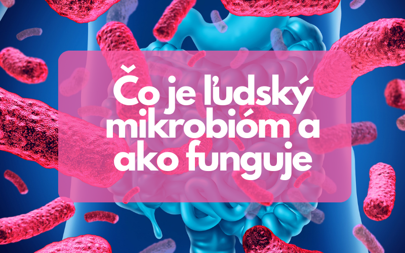 Čo je ľudský mikrobióm a ako funguje