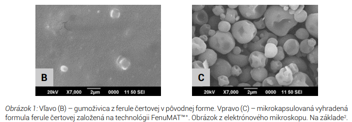 gastrin2