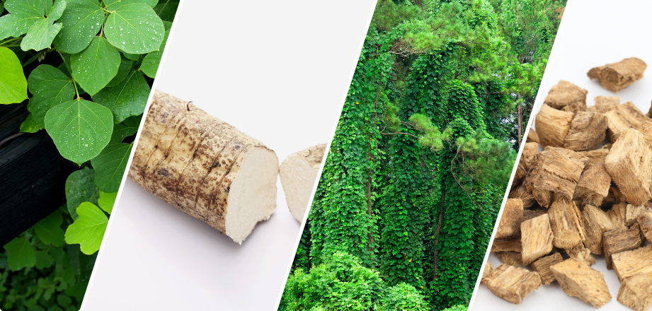 kudzu3