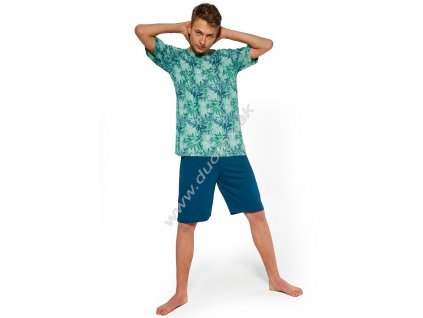 Chlapecké pyžamo 265/41-Leaves