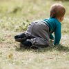 softshellove kalhoty detske sede pro miminko dupacky Moje první softshellky zimní s fleecem dupeto