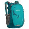 6305 6 detsky batoh boll falcon 20l turquoise