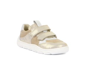 G3130264 12 Gold Shine Froddo Dupidup