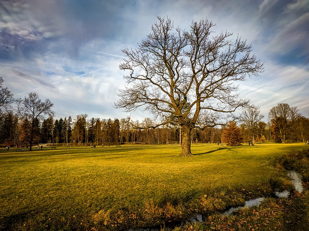 Podzim - dřevěné hodinky a brýle jako doplněk vašeho outfitu