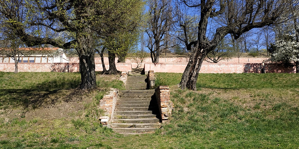 Vývoj a materiály hodinek | Dřevěné hodinky Duppau