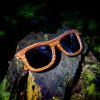 Holz Sonnenbrille Duppau Zebra Brown auf Baumstamm im Wald