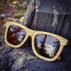 Holz Sonnenbrille Duppau Du Brown aus Eichenholz auf Baumstamm