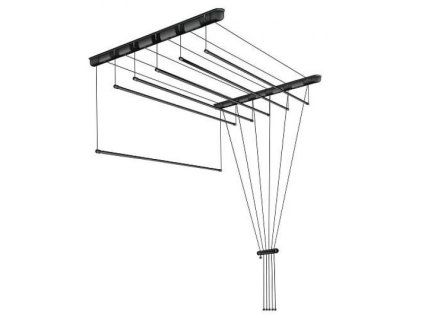 25536 stropni susak cerny 1